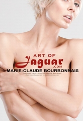 Art of Jaguar – Pinups image 05