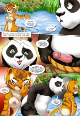 Kung Fu Panda- True Meaning of Awesomeness image 05