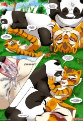 Kung Fu Panda- True Meaning of Awesomeness image 12