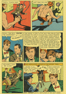 Crime Smashers! 2- The Wertham Files image 22