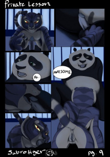 Kung Fu Panda- Private lesson image 10
