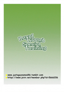 Royal Guard Special Training (The Legend of Zelda) image 2